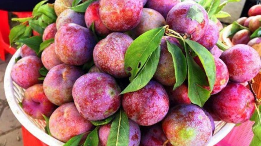 Những người nên hạn chế ăn quả mận
