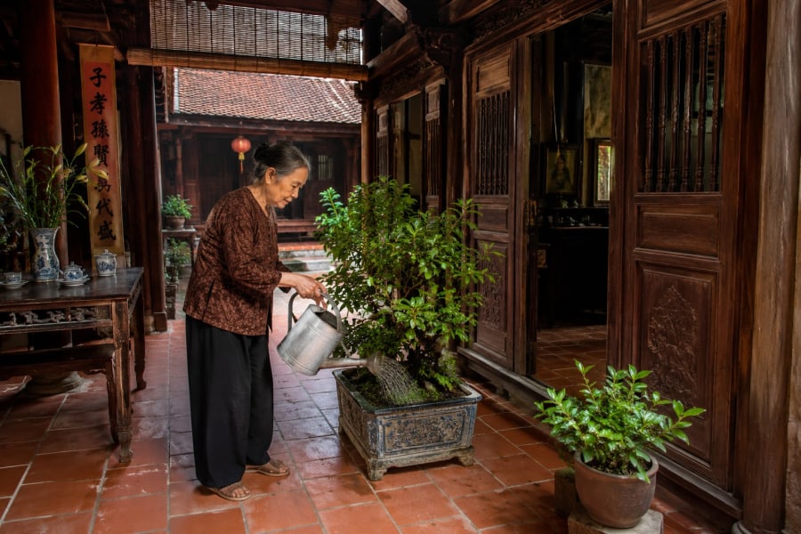 Đặt 1 thứ này trong nhà: Giữ không khí thoáng mát, không cần điều hòa