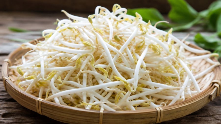 Cần chú ý khi mua giá đỗ