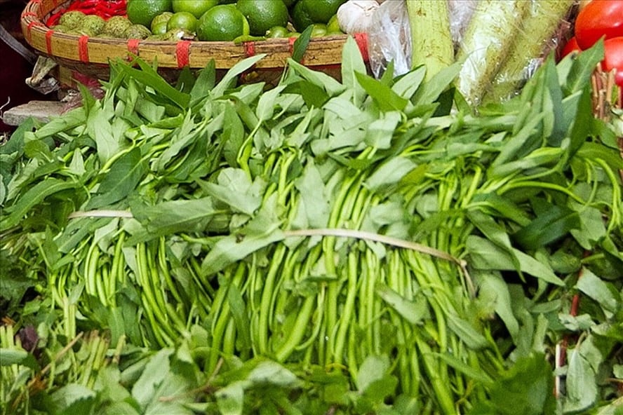 Lựa chọn nguyên liệu thật tươi là bước đầu tiên nếu muốn có đĩa rau muống luộc xanh ngon.