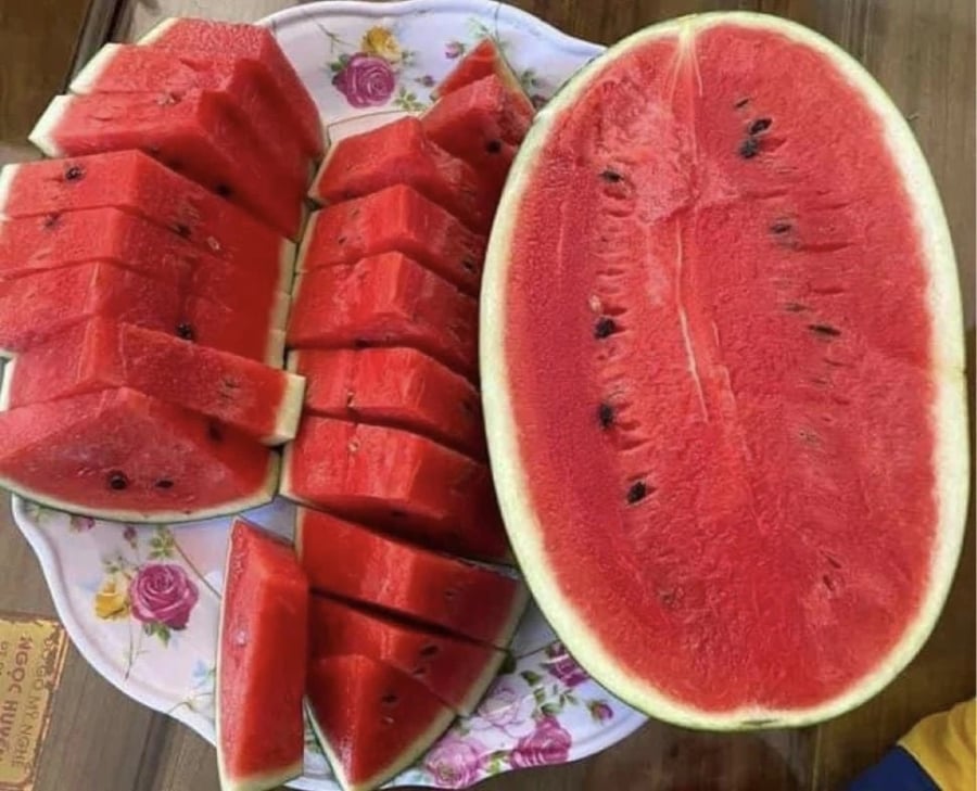 Nhắc đến những loại quả giải nhiệt hàng đầu, dưa hấu luôn nằm trong danh sách được nhiều người yêu thích. Với hàm lượng nước chiếm tới hơn 90%, dưa hấu được xem là nguồn cấp nước tự nhiên tuyệt vời cho cơ thể.    
