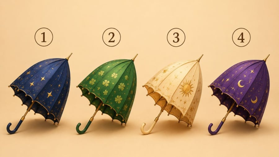 Bạn chọn chiếc ô nào?