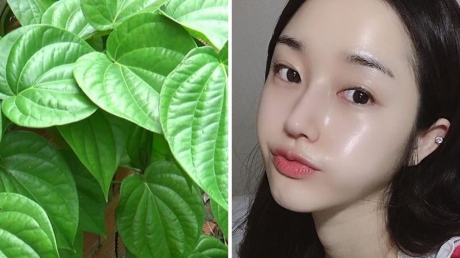 Trong lá chứa nhiều tinh dầu và hoạt chất giúp làm sạch da, giảm vi khuẩn gây mụn, đồng thời hỗ trợ se khít lỗ chân lông.