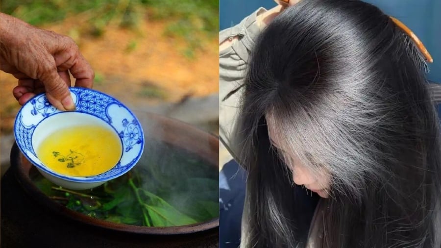 Gội đầu bằng nước chè xanh giúp tóc bóng mượt, ít rụng, kích thích móc tóc tốt hơn.
