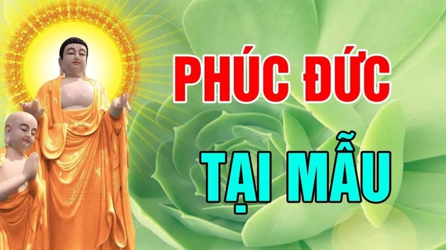 ohuc tu cha me