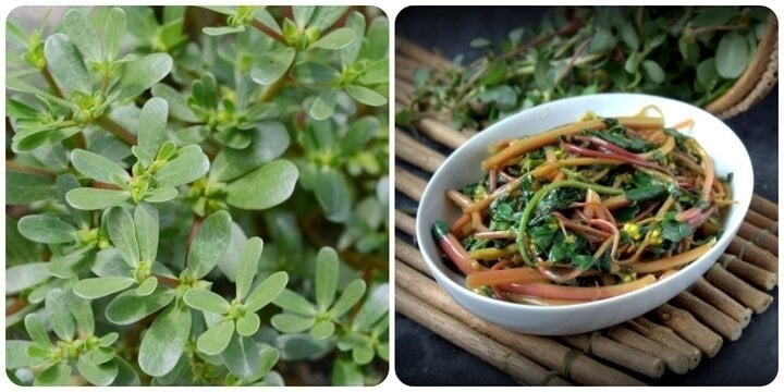 Rau sam là loại rau mọc vô cùng khỏe trong điều kiện thời tiết mùa hè khắc nghiệt và thường được bán với giá rất rẻ ngoài chợ. 