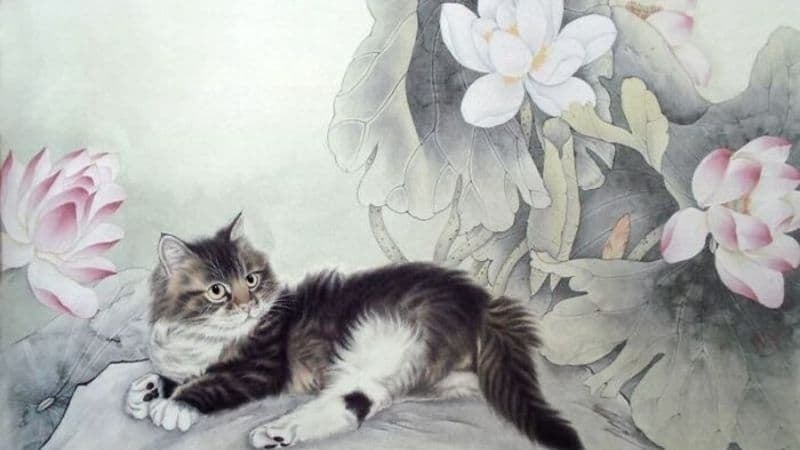 Người tuổi Mão vốn nổi tiếng bởi sự khéo léo, tinh tế và khả năng ứng xử linh hoạt trong mọi hoàn cảnh. Họ không thích cạnh tranh gay gắt nhưng luôn biết cách tạo dựng thiện cảm với những người xung quanh.    