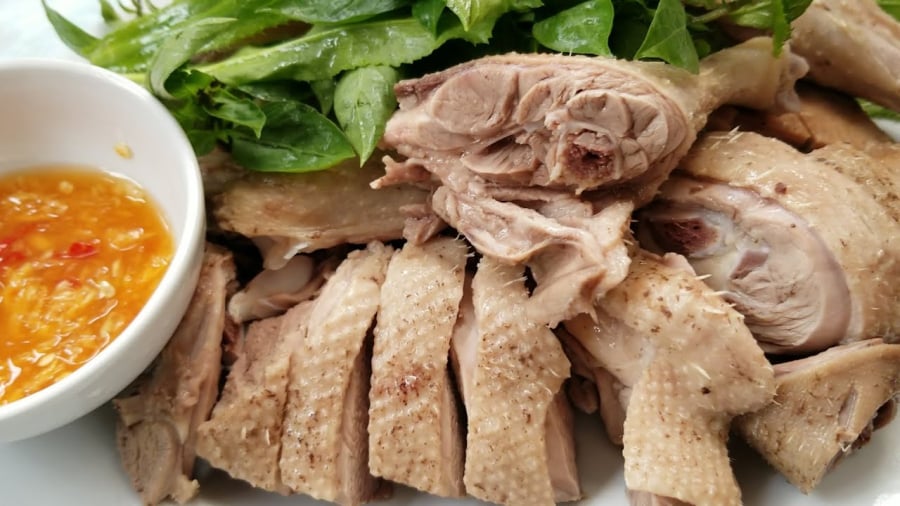 Thịt vịt cũng là nguồn cung cấp protein dồi dào