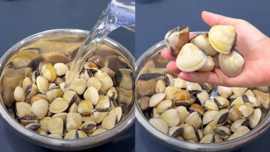 Khi ngâm ngao, bạn có thể thêm một chút rượu trắng để ngao nhả cát nhanh hơn.