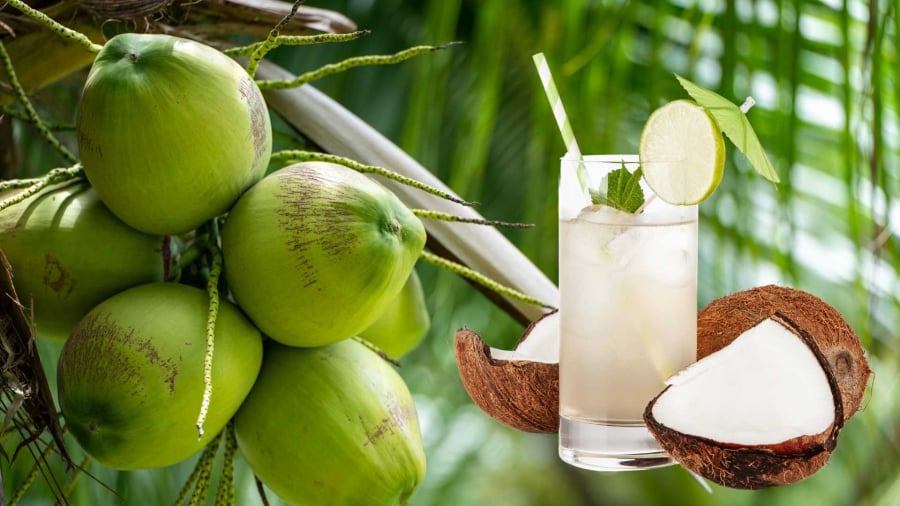 Nhiều người truyền tai nhau rằng nước dừa có khả năng làm trắng da hoặc hỗ trợ điều trị mụn. 
