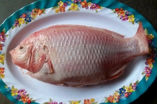 Thấm khô bề mặt cá giúp việc rán cá dễ dàng hơn