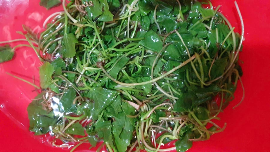 Chần rau má thật nhanh rồi thả ngay vào nước đá lạnh để rau được xanh hơn