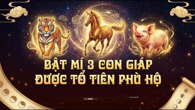 Không giàu sớm nhưng giàu bền: 3 con giáp tích lũy tiền tỷ ngập nhà