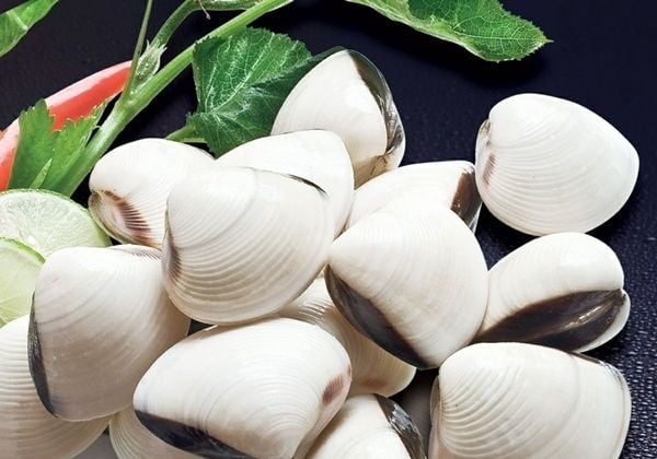 Chú ý khâu chọn ngao