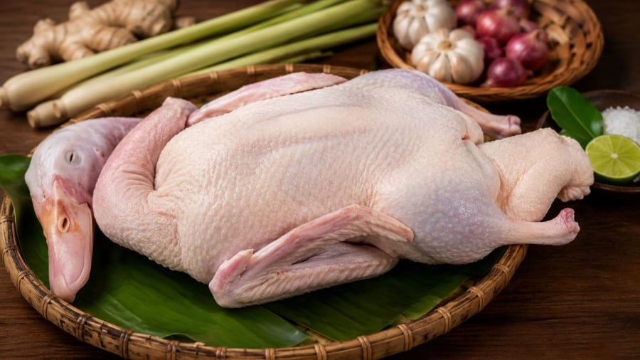 Chọn vịt ngon là yếu tố quan trọng nhất để thịt vịt ngon