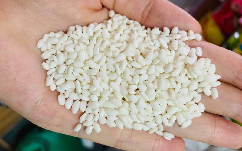 Gạo nếp ngon sẽ có mùi thơm đặc trưng, không sâu mọt…