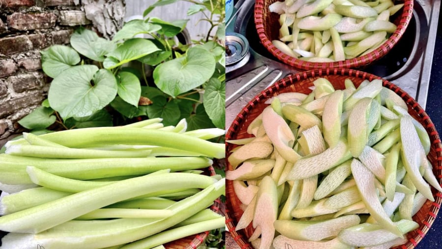 Dọc mùng mua về cần sơ chế kỹ trước khi nấu để tránh bị ngứa.