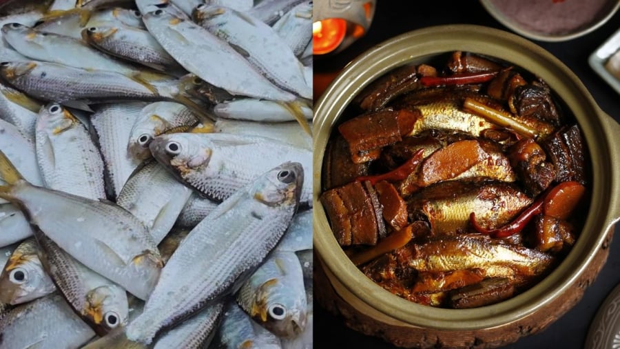 Cá mòi là một trong những loại cá giàu omega-3 được đánh giá cao. 