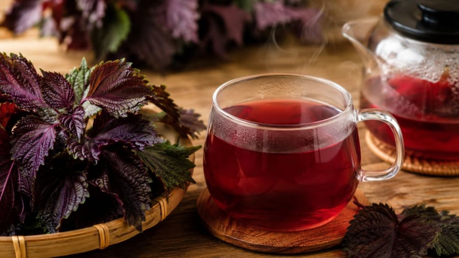 Cẩn thận khi nấu nước tía tô để đảm bảo vị ngon dễ uống lại phát huy tối đa tác dụng