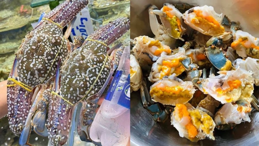 Nếu thích ghẹ nhiều gạch, bạn nên chọn ghẹ cái.