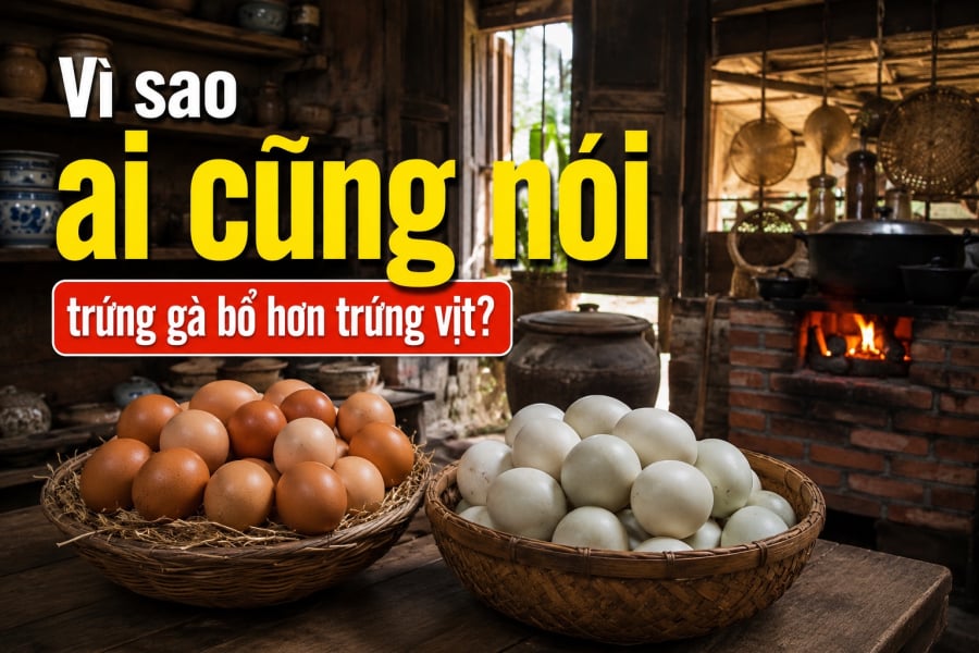 Nhiều người cho rằng trứng gà bổ hơn trứng vịt chủ yếu do trứng gà ít chất béo và cholesterol hơn, giúp cơ thể dễ tiêu hóa và hấp thu hơn, phù hợp với đa số thể trạng. Tuy nhiên, thực tế cả hai loại đều có giá trị dinh dưỡng rất cao và ưu điểm riêng.