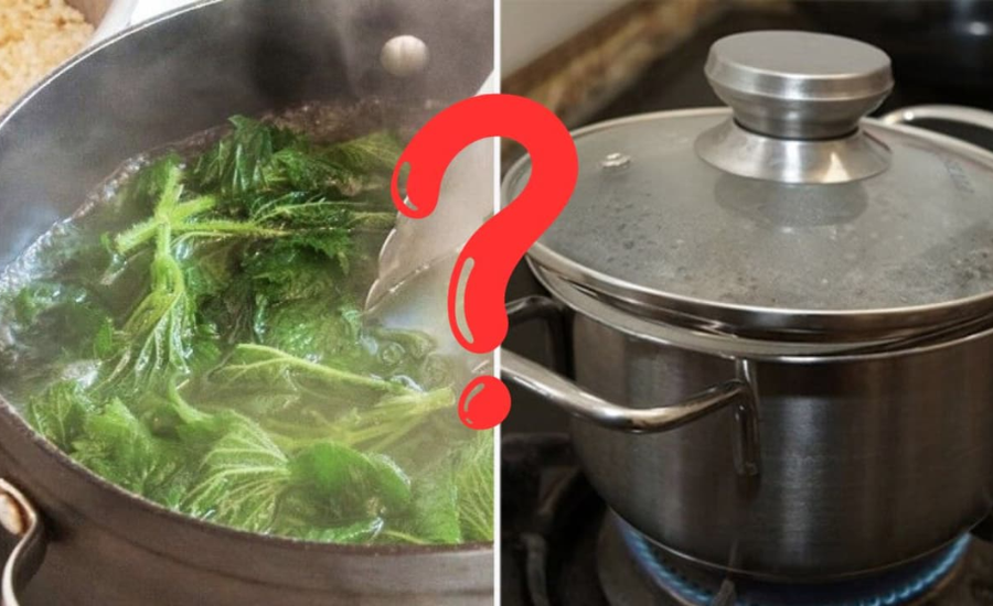 Nồi cần đủ nước để rau được ngập hoàn toàn.
