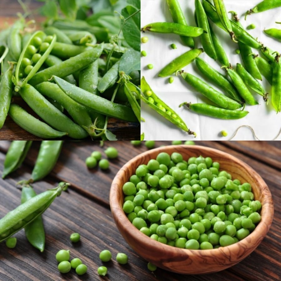Đậu Hà Lan là một loại thực phẩm nhỏ nhưng giàu dinh dưỡng. 