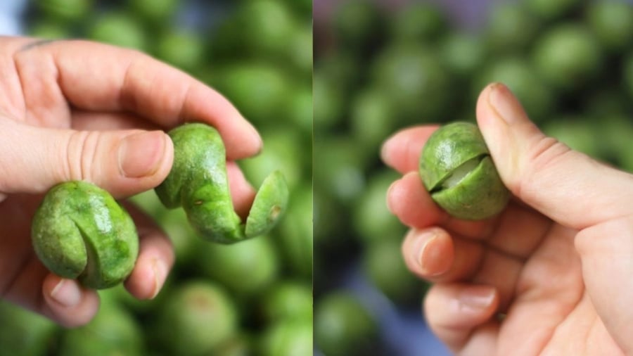 Sấu mua về cần được cạo vỏ, khía xung quanh hoặc đập nhẹ cho nứt vỏ.