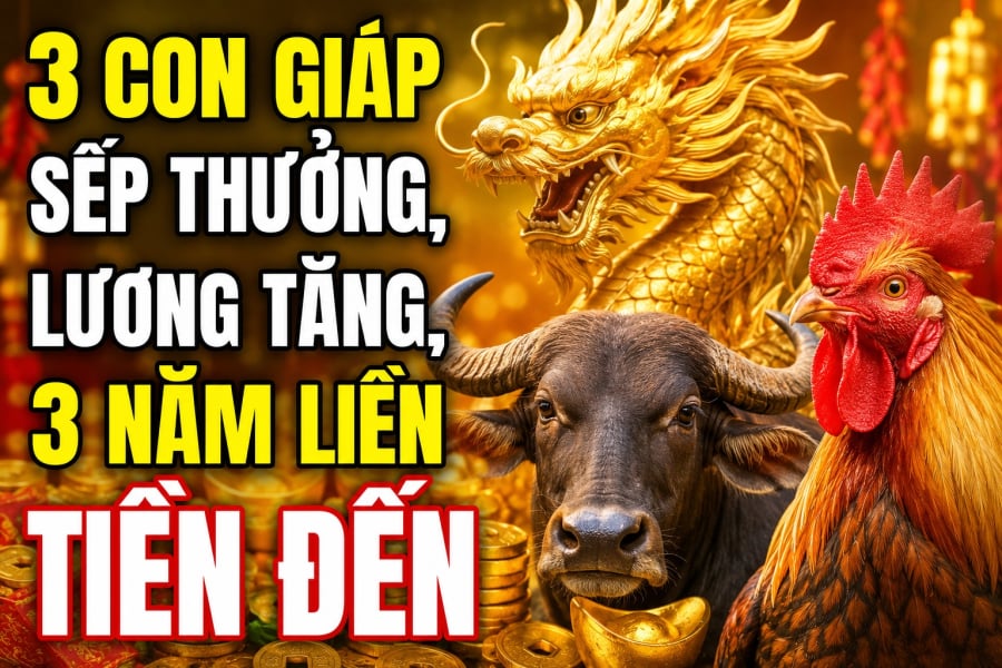 3 con giáp sếp thưởng, lương tăng, 3 năm liền Tiền đến