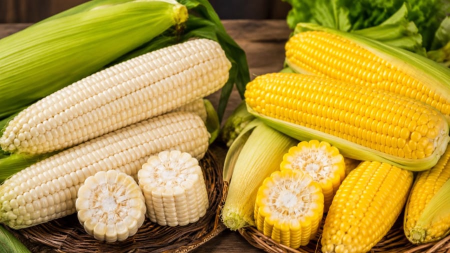 Ngô nếp và ngô ngọt có những đặc điểm, ưu điểm khác nhau