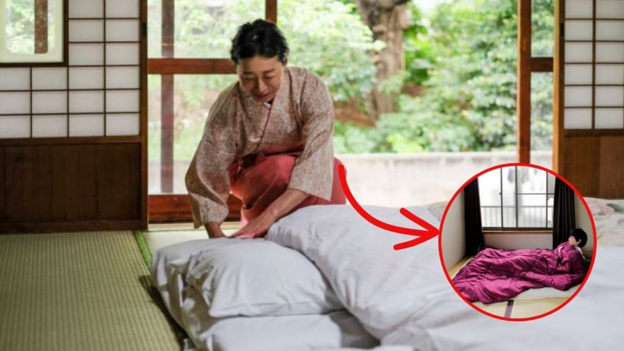 ngu san