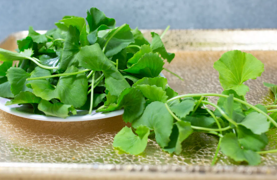 Không chỉ dùng để uống, rau má còn có thể chế biến thành nhiều công thức chăm sóc da đơn giản, dễ thực hiện ngay tại nhà.