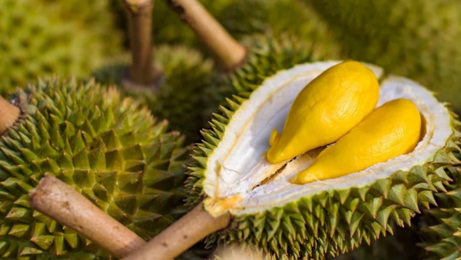 Sầu riêng là loại quả có chứa hàm lượng đường tự nhiên khá cao