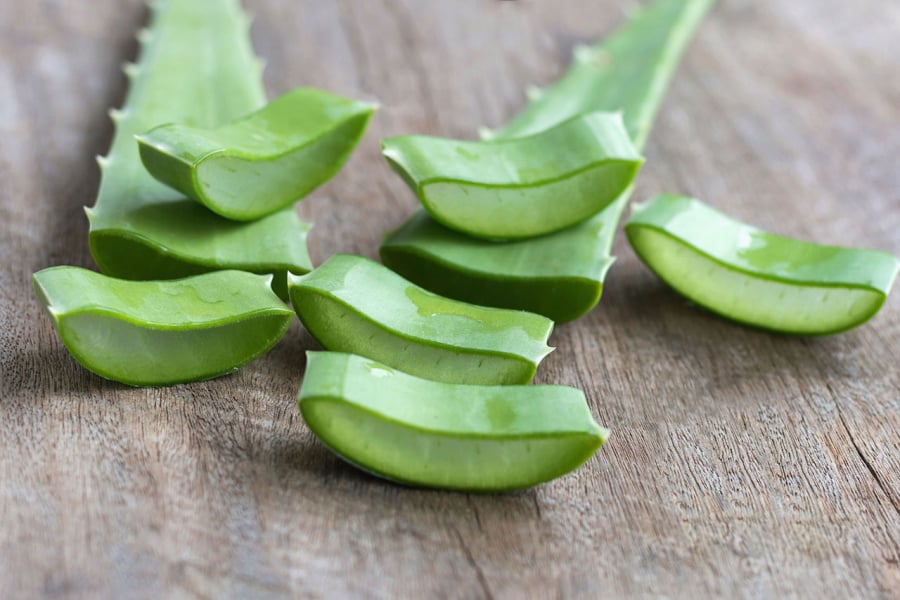 Lô hội từ lâu đã được sử dụng trong các sản phẩm chăm sóc da nhờ chứa nhiều vitamin và hợp chất có lợi như vitamin A, C, E và B12. 