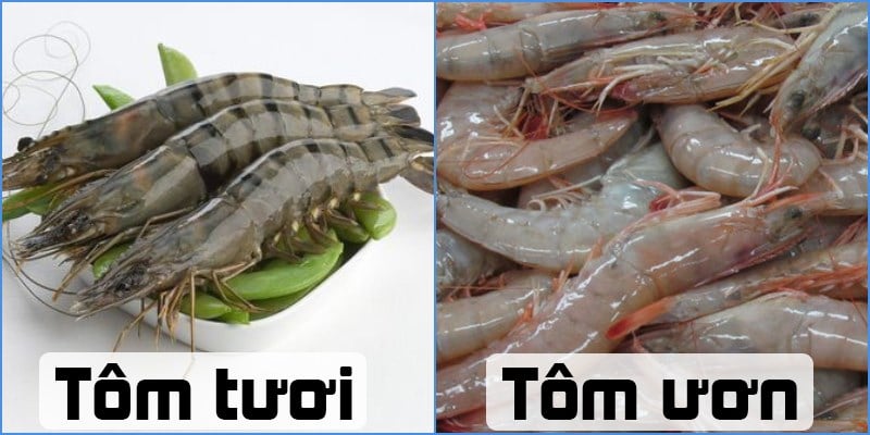 tom