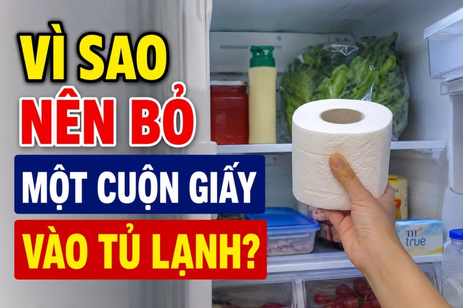 Vì sao nên bỏ một cuộn giấy vào tủ lạnh?