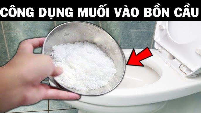 muoi 1