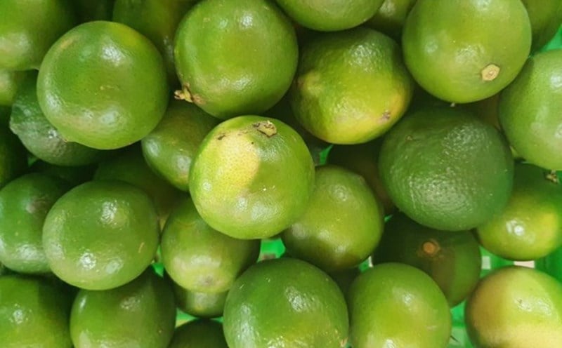 Đặt chanh hoặc tinh dầu tự nhiên khử mùi bồn cầu