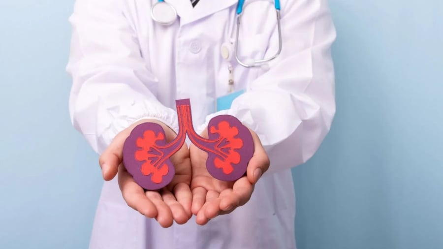Khi thận khỏe mạnh, nước tiểu thường có màu vàng nhạt, đi tiểu đều đặn và cơ thể không bị phù nề bất thường.