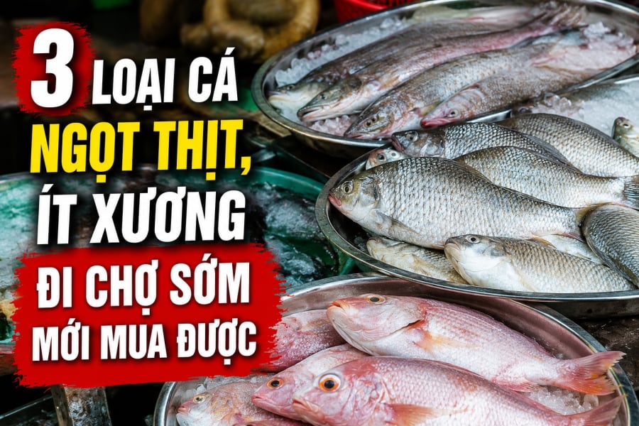 3 loại cá ngọt thịt, ít xương đi chợ sớm mới mua được
