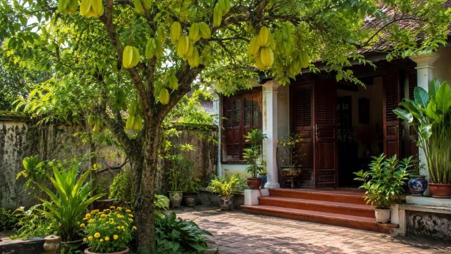 Cây khế trong quan niệm dân gian mang biểu trưng cho sự đủ đầy