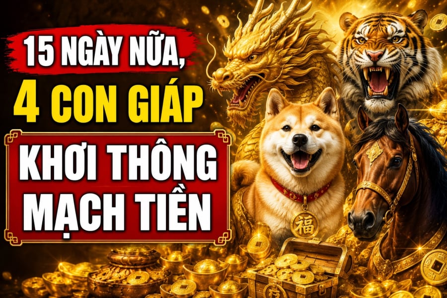 Trong khoảng 15 ngày tới, một số tuổi được cho là có cơ hội đón nhận nhiều tín hiệu tích cực về tài chính, công việc thuận lợi hơn, các nguồn thu cũng có xu hướng khởi sắc.