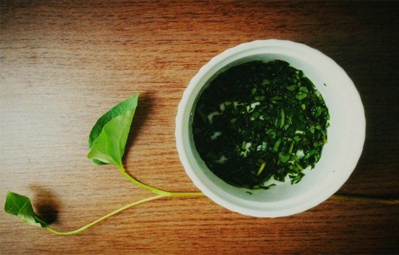 Nhiều nghiên cứu cho thấy loại thực vật này chứa lượng đáng kể các hợp chất hoạt tính sinh học như flavonoid và polyphenol. 