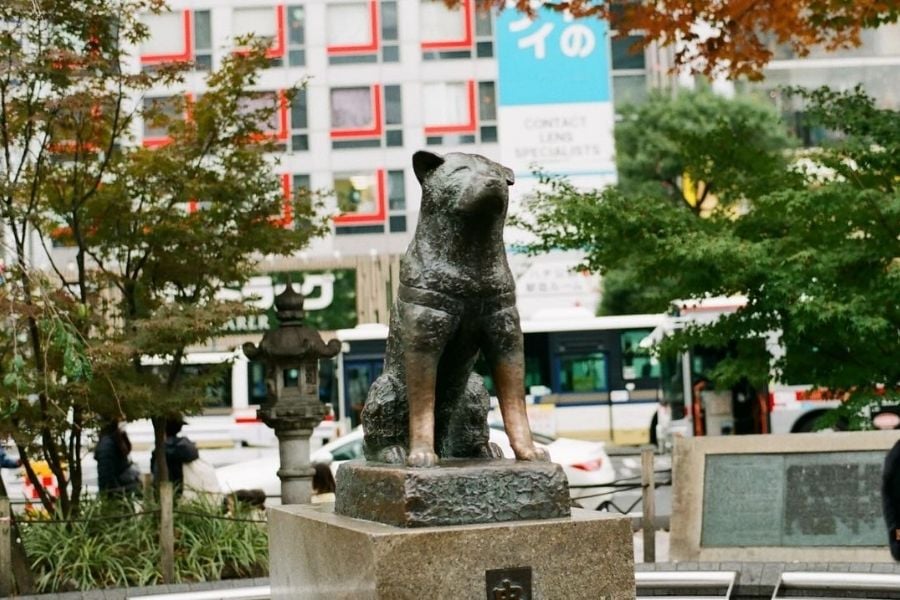 hachiko-bieu-tuong-long-trung-thanh