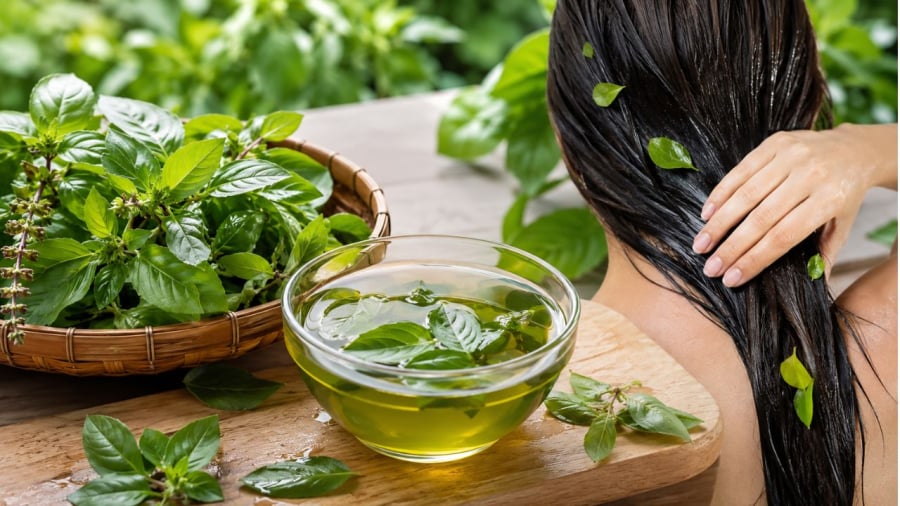 Húng quế không chỉ để ăn mà còn để nấu nước gội đầu