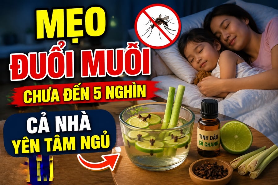 Mẹo đuổi muỗi chưa đến 5 nghìn, cả nhà yên tâm ngủ