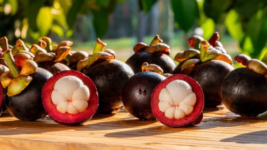 Người bị rối loạn tiêu hóa, dễ táo bón    
