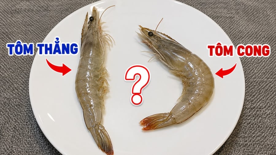 Nên mua tôm nào sẽ ngon hơn? 