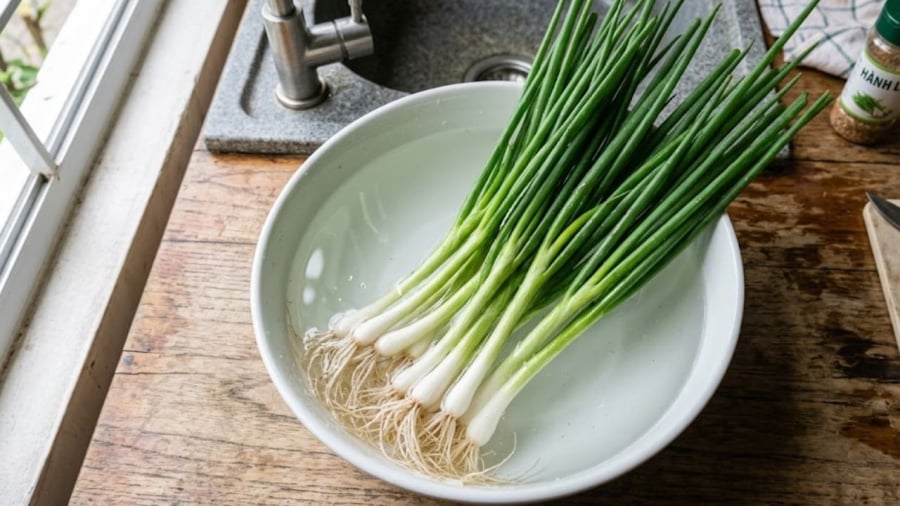 Hành lá cần được làm sạch trước khi bảo quản.