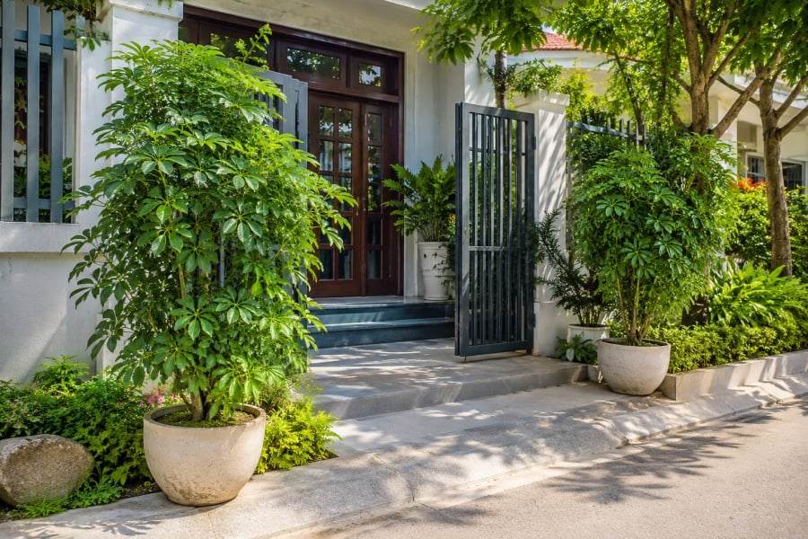Tạo Không Gian Xanh Mát, Dễ Chăm Sóc    